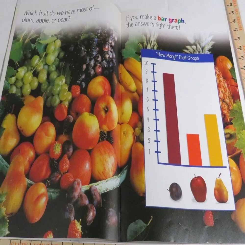 Graph It BIG BOOK (almost 2 feet tall) with teacher pages  CLASSROOM SIZE